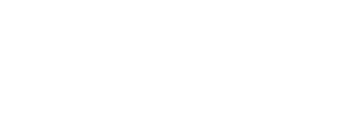 holoVoice logo